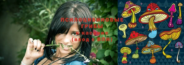 амф Новозыбков