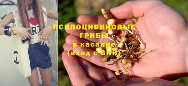 apvp Абаза
