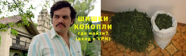 стаф Новокубанск